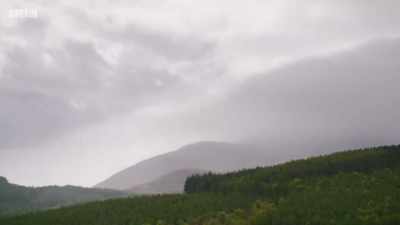 # Sounds and wonders of how
this water flows... - Mountain Vets