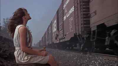 Southern Pacific, CB & O, C & E... - This Property Is Condemned