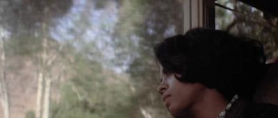 Southern trees - Lady Sings the Blues
