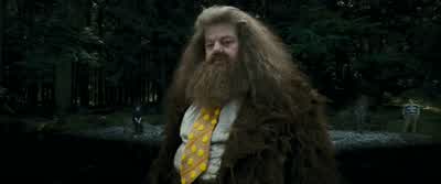 - Spare bit of parchment. - Harry Potter and the Prisoner of Azkaban