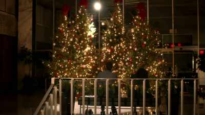 SparkLTree comes with
a free app - Six Degrees of Santa
