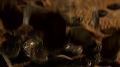 Spartacus handsomely returns. - Spartacus