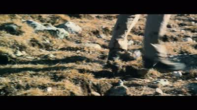 Comms man: Spartan 0-1, spartan to base, do you copy? - Lone Survivor
