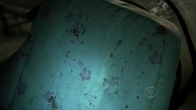 Spatter. - CSI: Crime Scene Investigation