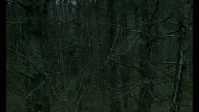 Speak none of this to Mother. - The Witch