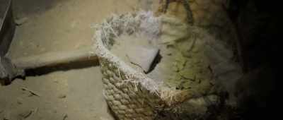 [speaking Arabic] - Secrets of the Saqqara Tomb