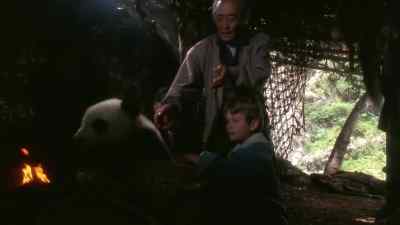 [SPEAKING CHINESE] - The Amazing Panda Adventure