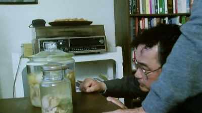 (speaking in japanese) - The Man Who Stole Einstein's Brain