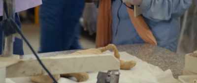 [speaking indistinctly] - Secrets of the Saqqara Tomb