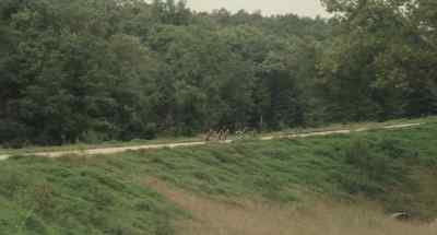 [Speaking Italian] - Breaking Away