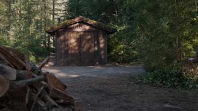 [speaking Norwegian] - Psych 2: Lassie Come Home