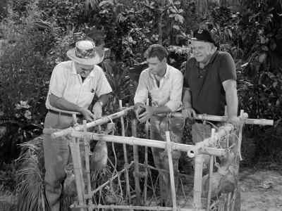 Speaking of minds,
where is Gilligan? - Gilligan's Island