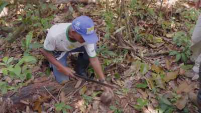[ SPEAKING SPANISH ] - Lost Cities of the Amazon