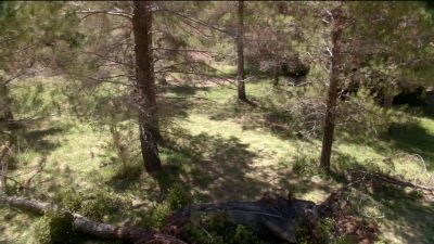 [speaks Russian] - NCIS