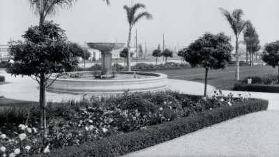 Spectacular flower gardens. - Flood in the Desert