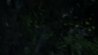 Spence, it's us again. - Pretty Little Liars