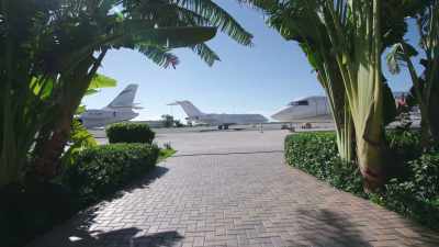 Spending money at an outrageous cost
and speed. - Fyre