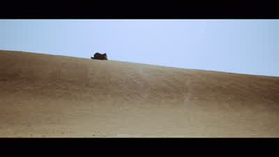 Spiacente, Shorty. - The Good, the Bad and the Ugly