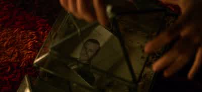 Spider, O Spider, pray why do you spin your pretty white web so fine and so thin? - Chilling Adventures of Sabrina