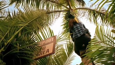 Spider Woman, what
are you doing? - Hawaii Five-0