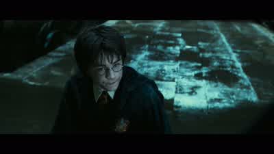 Spiders flee before it." Ron, this is it. - Harry Potter and the Chamber of Secrets