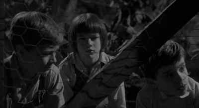Spit on it. - To Kill a Mockingbird