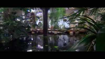[splash] - Lady Boss: The Jackie Collins Story