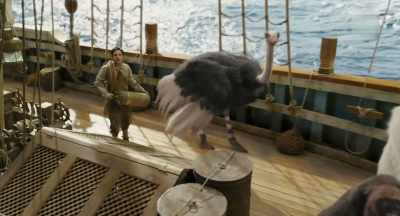 (splash) - Dolittle