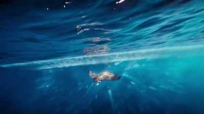 -(SPLASHING)
-More than two and a half miles away... - Super/Natural