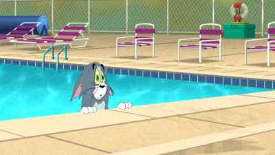 SPORTS LOVERS, - Tom and Jerry Tales