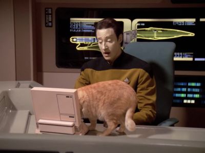 Spot, you are disrupting
my ability to work. - Star Trek: The Next Generation