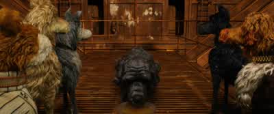 Spots if he's alive may very well be livingeven at this moment as a captive prisoner - Isle of Dogs