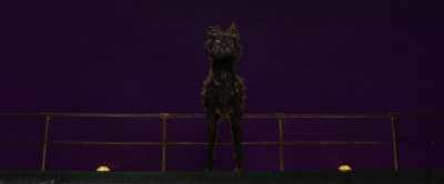 Spots, whoever he is, - Isle of Dogs