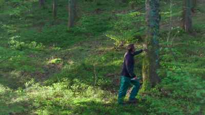Spring marks the time
when Ernst and his son Lukas - Europe From Above
