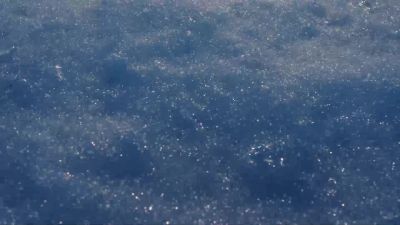 Spring races across the Arctic. - Hostile Planet