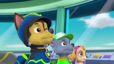 Spy Chase is on the case - PAW Patrol