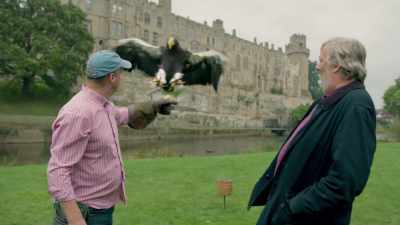 [squawks] - Fantastic Beasts: A Natural History