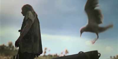 (squawks) - Our Flag Means Death