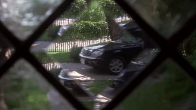 (squawks) - Desperate Housewives