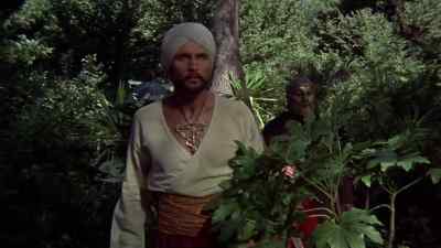 - [ Squawks ]
- Stop. - The Golden Voyage of Sinbad