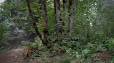 [Squawks, then yelps] - Jim Hensonâ€™s Turkey Hollow