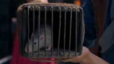 - [ squeaking ]
- Go on. - The Outpost