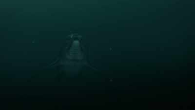 [ Squeaking ] - Attenborough and the Sea Dragon