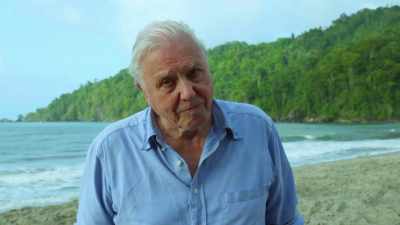 squeaking-that-once-lived-on-land - Attenborough and the Sea Dragon