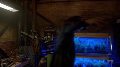 (Squealing) - The Strain