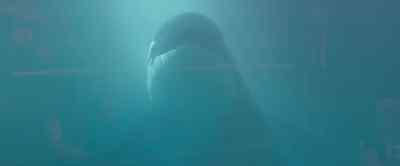 [SQUEALS] - Free Willy