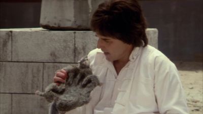 Squirrel friend - Kung Pow: Enter the Fist