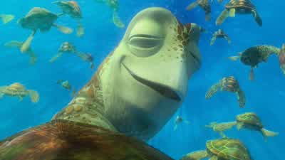 Squirt here will now give you a rundown on proper exiting technique. - Finding Nemo
