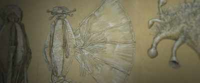 St joshi: In the
course of this novel, - Memory: The Origins of Alien
