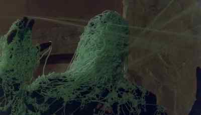 [staff fires]
[high-pitched whistling] - Hawk the Slayer